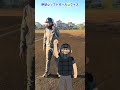 インフィールドフライ!?この場合どうなる??