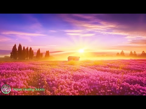 528 HZ SERENE SUNRISE Beautiful HAPPY Morning Music Positive Euphoria Energy 