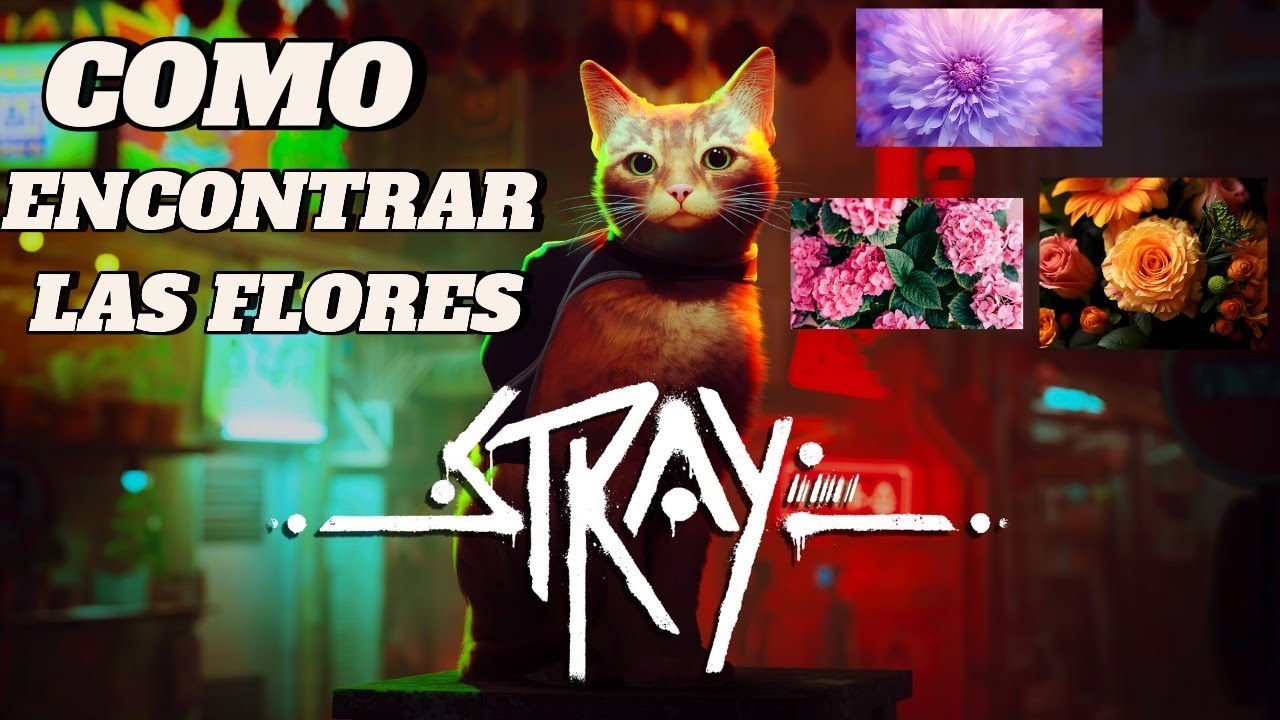STRAY ! COMO ENCONTRAR LAS FLORES || ENCONTRAR LAS 3 FLORES DE STRAY COMPLETAS | GUIA DE STARY