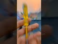 galiyan galiyan akha#electrical #youtube family real India#real Instagram#trending video#viral video