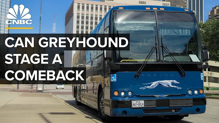 How Greyhound Became The Largest Bus Service In The U.S. - DayDayNews