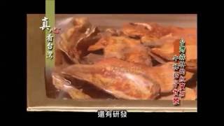 曜東方牛樟芝影片