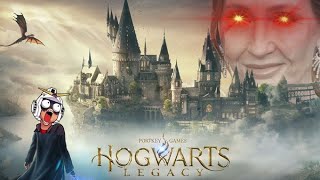 Hogwarts Legacy: Peak First World Problems │Explained In Autistic Detail