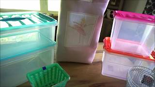 Organization Haul | The Dollar Store, Meijer, Home Goods