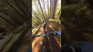 Follow cam #Insta360X3 #Insta360 #Insta360mtb #mtb #fyp #quack