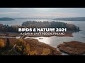 BIRDS AND NATURE | A year in Lahti Region, FINLAND