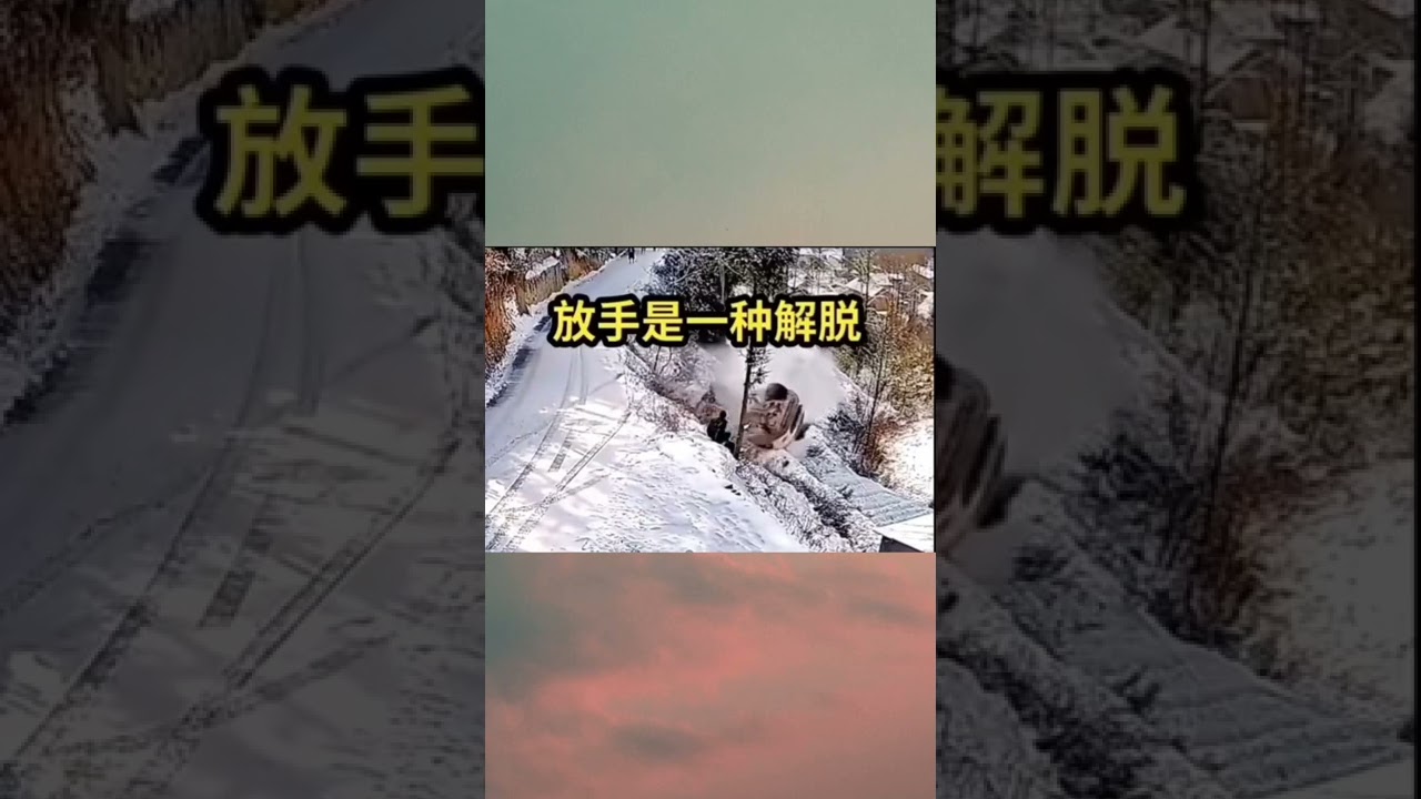 雪打滑爬不上坡後滑下去了！#道路 #汽車 #雪天
