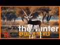 Dual dime blackbuck vs 3030 lever action  thehunter call of the wild