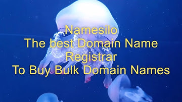 Namesilo: Best Site to Buy Domain Names in Bulk