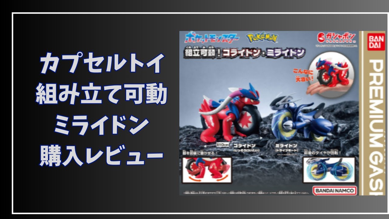 購入レビュー ポケットモンスター 組立可動！コライドン・ミライドン