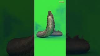 green screen snake 🐍🐍🐍🐍#greenscreen #snake