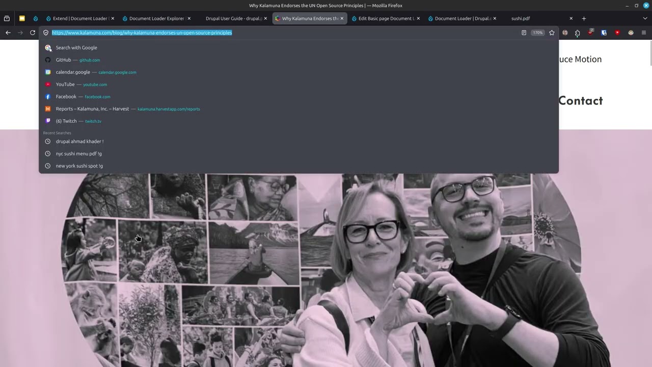 embed image