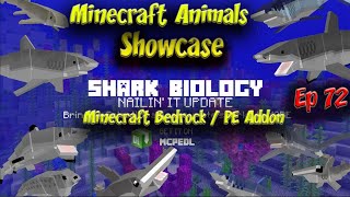 Shark Biology Addon Nailin it Update Animal Showcase 4k 60fps Minecraft PE BE Animals Ep72 Megladon screenshot 5