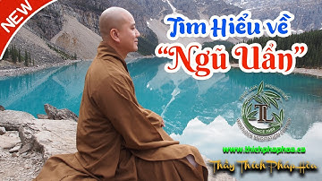 Ngũ Uẩn Là Gì (vấn đáp) - Thầy Thích Pháp Hòa