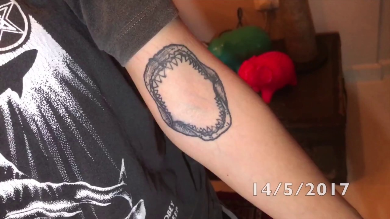 shark jaw inside elbow tattooBúsqueda de TikTok
