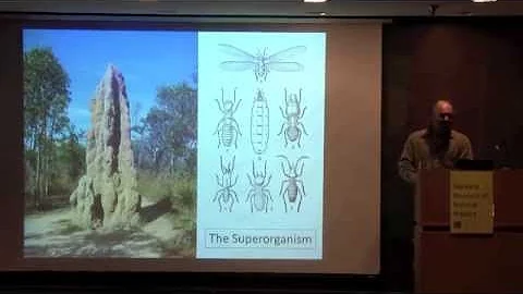 Here On Earth: A Natural History of the Planet