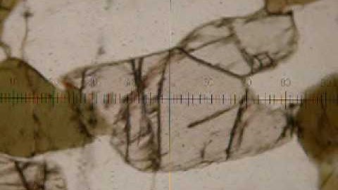 Optical Mineralogy pleochroism orthopyroxene 1