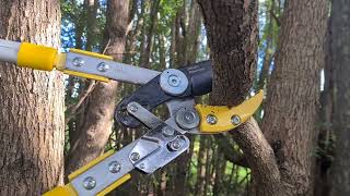 Career Overview How to use a ratchet Power Lopper