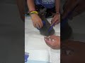 Peinando a oreo , el bb de la casa