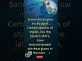 Did you know? 🌊🩸✨🦈🦈Did You Know? Some Sharks Glow in the Dark! 🦈✨🦈 #shorts