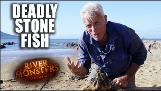 The Deadly Stone Fish | River Monsters by River Monsters™ 18,160 views 2 days ago 2 minutes, 17 seconds
