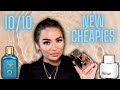 MY NEW FAVOURITE PERFUME COSTS LESS THAN $20 :O &amp; MORE AMAZING FINDS | PERFUME HAUL | Paulina Schar