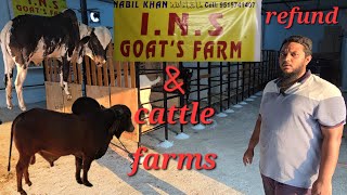 New palai farm open in Hyderabad | INS goat's & cattle farm services | bull's & goat's palai in Hyd