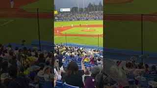 Baseball game in Japan #baseballjapan #japan #meijijingu
