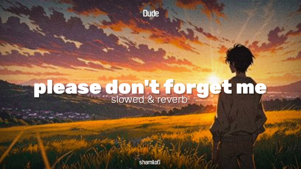 please don't forget me | slowed reverb | dude | sai abhyankkar | shamilofi 