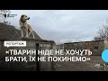 «Не покинемо тварин». Прифронтове село Донеччини: життя двадцяти людей у Предтечиному