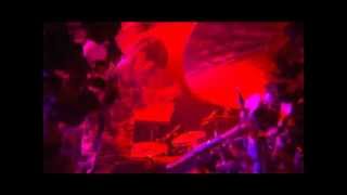 Skinny Puppy - Inquisition (The Greater Wrong Of The Right Live)