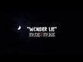 Face 2 fake  wonder lie  alternative 2