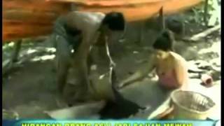Acai Berry Berita TV3.mp4.flv