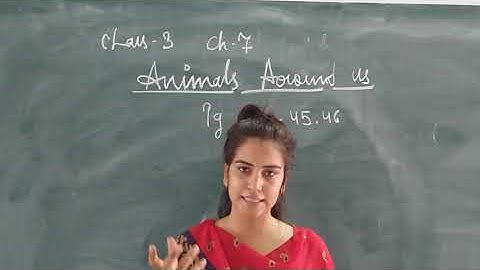 CLASS -3|| E.V.S|| CHAPTER - 7 ANIMALS AROUND US