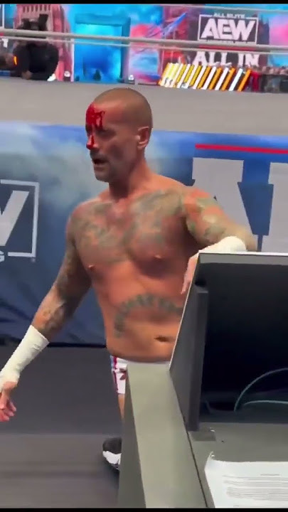 How they fool us | #wwe is full of drama fake fight 😡 | thelocaladventurer