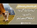 Eid ul azha or qurbani  allah ki raah me konsa janwar qurban karna afzal hai ilm noor hai