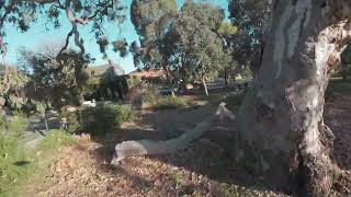 park flight with DJI Avata 2 in manual