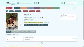 Stable Secretary online: Attachments for Horses