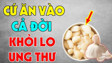 Hóa Ra Đây Là "THÂN DƯỢC" Tế Bào Ung Thư Rất Sợ, Không Phải Ai Cũng Biết, Ăn Sớm Sẽ Trường Thọ