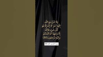 سورة القصص الآية (88) #المصحف #اكسبلور #لايك #الرحمن #تيك_توك #ترند