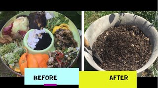 厨余都是宝 无臭环保的家庭有机堆肥做法 超简单制作  Turn kitchen wastes to Black Gold - compost at home
