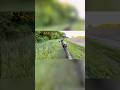 POV Enduro Forest & Field Drive