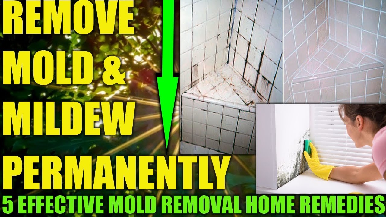 HOW TO GET RID OF MOLD & MILDEW ON WALLS PERMANENTLY