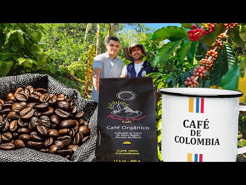Como Tostar Cafe