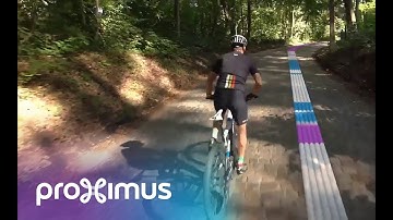 2019 Proximus SDx en