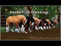 Western vs dressage  sso