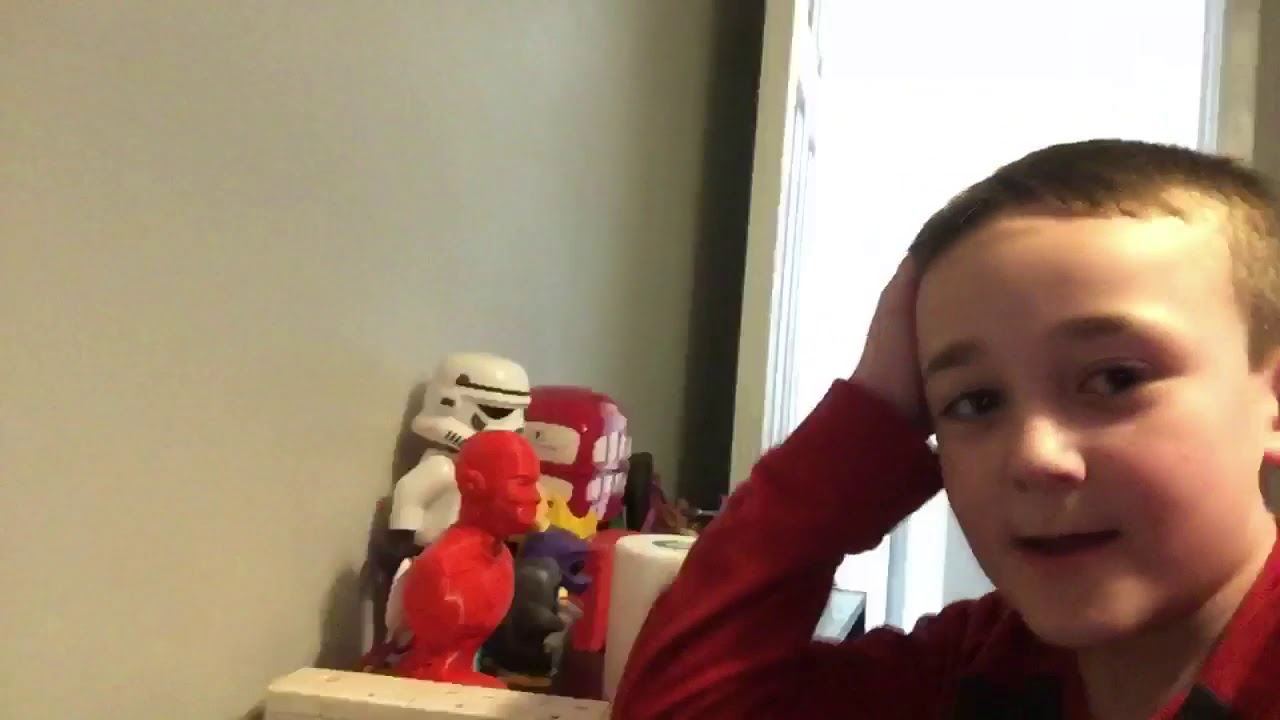 Part 2 of my animal 🦓 teddies - YouTube