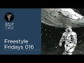 Freestyle Fridays 016 | Ludens Whale | ink wash