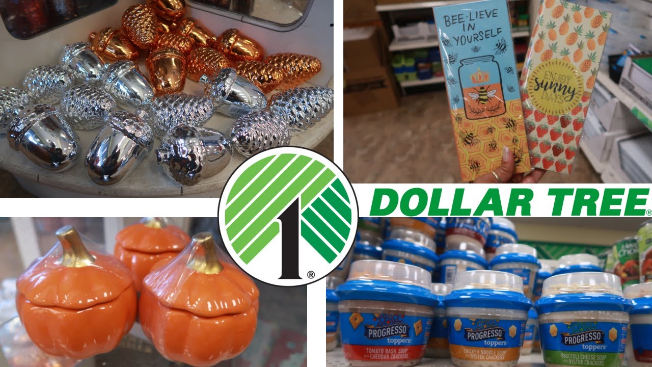 DOLLAR TREE * NEW FINDS!!!