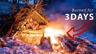 Lost in the Wilderness - How to NOT Freeze to Death! Winter Survival & Bushcraft (No Tent or Bag)